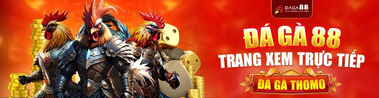 Đá Gà Trực Tuyến Hấp Dẫn tại vb777 game